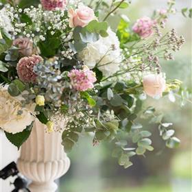 fwthumbDan Sab Flowers 10.jpg